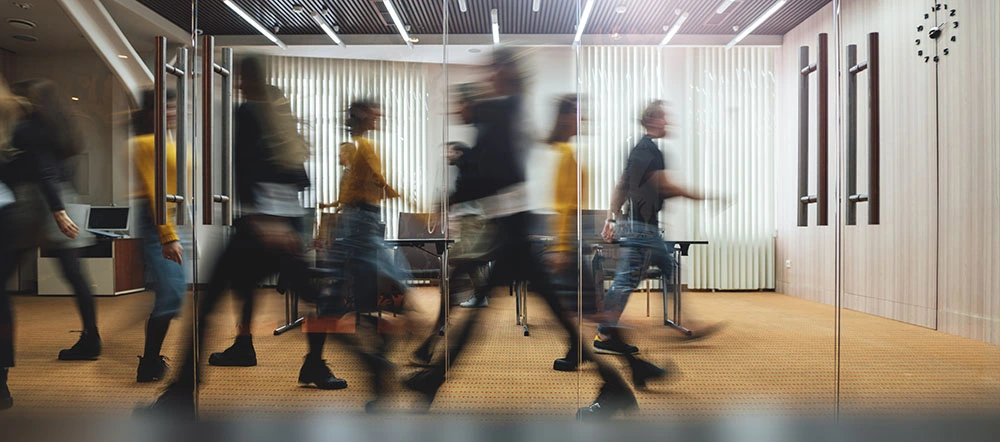 Find solutions for better manager employee relationships to improve team performance. Avoid chaos in your workplace.